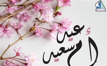   رئيس جامعة كفر الشيخ يهنئ سيدات مصر بمناسبة الاحتفال بعيد الأم