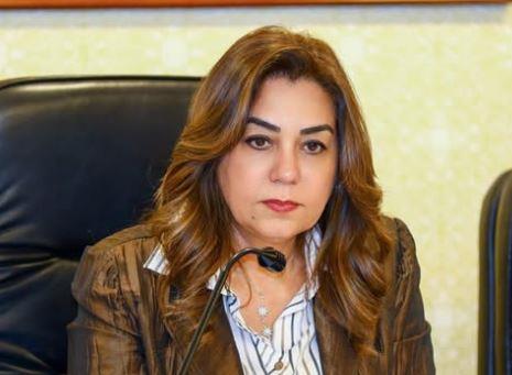 التنمية المحلية: اعتماد المخططات التفصيلية لرأس البر وباريس والهرم وثلاث قرى بالمنيا