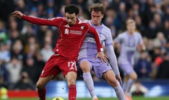   برايتون يهزم ليفربول 2-1 في الدوري الإنجليزي
