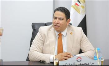   محمد رشيدي: زيارة الرئيس السيسي للبحرين والسعودية تعزز التنسيق العربي المشترك