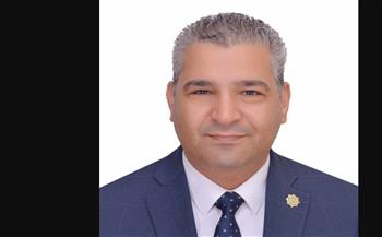   عياد رزق: جولات الرئيس السيسي الخليجية تعزز التضامن العربي في مواجهة التحديات