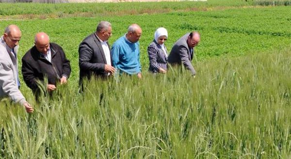 الزراعة تواصل جولاتها الميدانية وتتابع انتظام صرف الأسمدة ودعم الأنشطة التعاونية ببني سويف