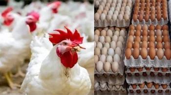 أسعار الفراخ اليوم في بورصة الدواجن