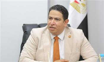 رشيدي: تحركات القاهرة تحمي المنطقة من الانزلاق نحو الفوضى