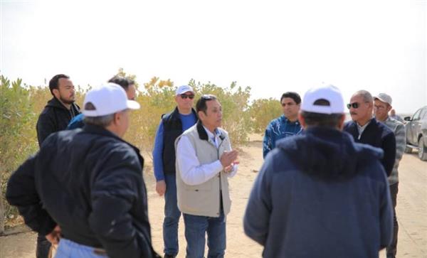 "تنمية الريف المصري الجديد" ترفع درجة الاستعداد القصوى لمواجهة موجة الطقس السيئ