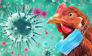 إيطاليا تسجل أول إصابة بشرية بإنفلونزا الطيور H9N2 في أوروبا