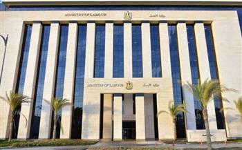 وزارة العمل: المرور على 731 منشأة .. وإعادة التفتيش على 530 منشأة خلال أسبوع