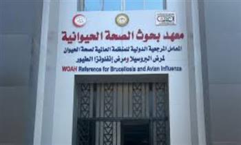   الزراعة .. ورشة عمل بالتعاون مع "الفاو" لمراجعة الدليل الحقلي لمكافحة الطفيليات في الماشية