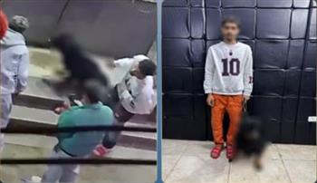   ضبط شخص بالقاهرة يستخدم كلبًا لترهيب آخر