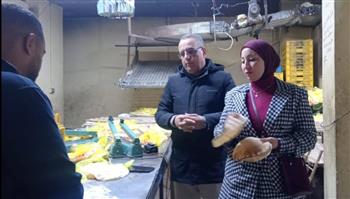   محافظ الدقهلية: ضبط أكثر من 2 طن أعلاف ومنتجات متنوعة خلال يومين