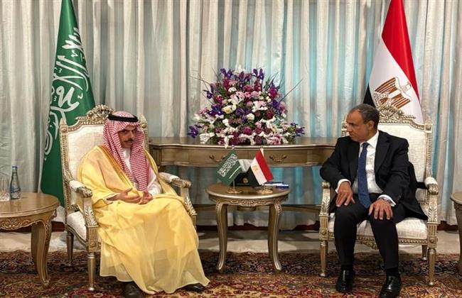 وزير الخارجية يبحث مع نظيره السعودي جهود التهدئة الإقليمية وتغليب المسار الدبلوماسي 