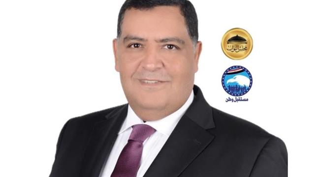  عثمان: أمن الخليج العربي جزء لا يتجزأ من الأمن القومي المصري 