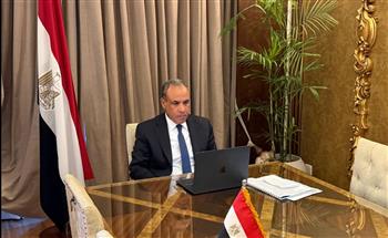   وزير الخارجية يؤكد تضامن مصر الكامل مع الدول العربية الشقيقة