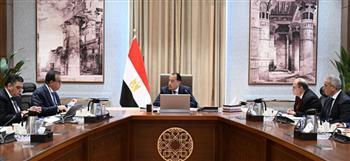 رئيس الوزراء يتابع موقف توافر المستحضرات الدوائية والخامات الفعالة بالسوق المصرية للدواء
