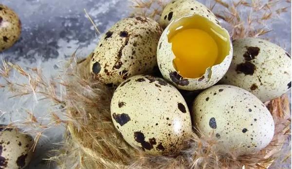 لماذا يعد بيض السمان الخيار المثالي لسحورك؟
