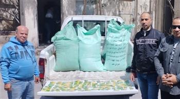   ضبط عدد 97 بطاقة تموينية و4 شكاير دقيق مدعم داخل أحد المخابز بالإسكندرية