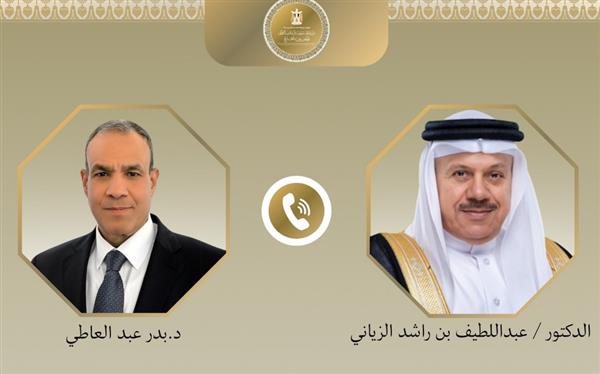 وزير الخارجية يؤكد تضامن مصر مع البحرين ويحذر من خطورة التصعيد العسكري بالمنطقة