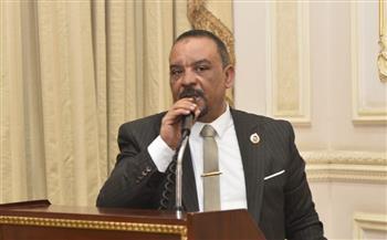 أحمد حافظ: توجيهات الرئيس السيسي بشأن ضبط الأسعار رسالة حاسمة لحماية المواطنين