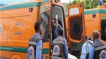   إصابة 10 أشخاص في انقلاب سيارة قرب قرية المحرص بمركز ملوي
