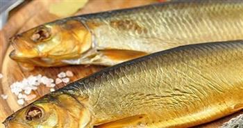   ضبط 14 طن رنجة وفسيخ فاسدة قبل طرحها بالأسواق