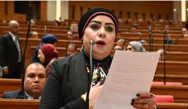 جيهان شاهين: قانون الأسرة ضرورة ملحة لتحقيق العدالة داخل الأسرة