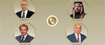 عبد العاطي يبحث مع نظيريه السعودى والعراقي ومدير الطاقة الذرية جهود خفض التصعيد