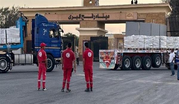الهلال الأحمر المصري يمد غزة بنحو 5,230 طنًا سلال غذائية عبر قافلة "زاد العزة" الـ 178