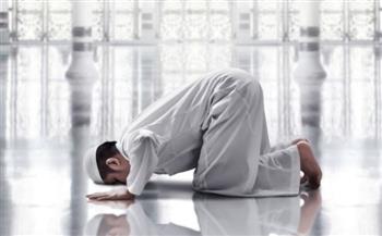   فضل صلاة الضحى