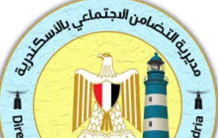 تضامن الإسكندرية تحصد جوائز الوزارة لدورها في دعم الأسر الاكثر احتياجا