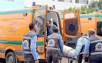   مصرع شاب وإصابة 3 في حادث بكفر الشيخ