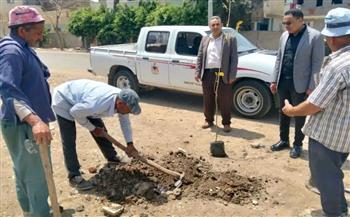محافظ كفرالشيخ يتابع زراعة الأشجار بقلين .. ضمن مبادرة «100 مليون شجرة»
