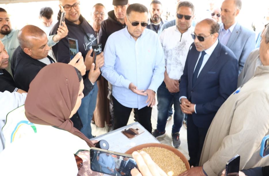 محافظ القليوبية يتفقد منظومة توريد القمح ببنها