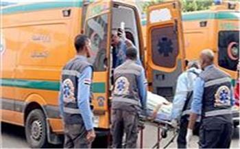 بينهم طفل .. إصابة 5 جراء انفجارأسطوانة غاز بقرية في كفر الشيخ