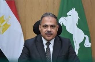   الشرقية تتحرك فورا لرفع أشجار وأعمدة بعد العاصفة