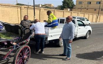 الأقصر تضبط عربات الحنطور المخالفة وتفرض الانضباط بالشوارع
