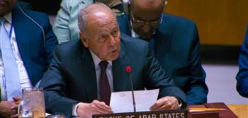   أبو الغيط أمام مجلس الأمن: لا حلول عسكرية لأزمات المنطقة وضرورة تعزيز التعاون الدولي لمواجهة التحديات