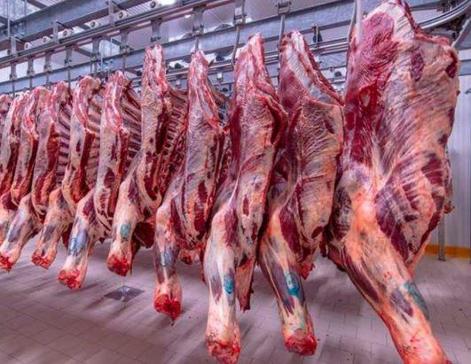 أسعار اللحوم اليوم في مصر.. آخر التحديثات