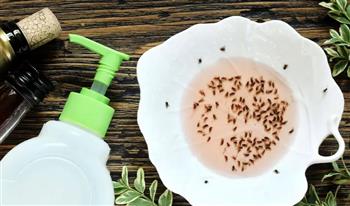   طرق طبيعية للتخلص من الناموس في المنزل
