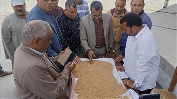   محافظ المنيا: شون وصوامع المحافظة تستقبل 14 ألف طن من القمح