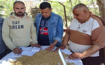   الدقهلية تتابع توريد القمح المحلي وتعلن انتظام العمل بالصوامع