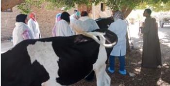   البداية بقرية طوخ طنبشا.. قوافل طبية بيطرية مجانية فى المنوفية