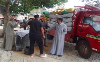   الدقهلية : توريد 3353 طن قمح لمواقع التخزين والصوامع على مستوى المحافظة