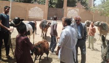   قوافل بيطرية مجانية بسوهاج تعالج 3150 حالة لدعم المربين والثروة الحيوانية
