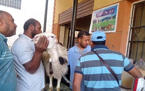 ضمن "باب أمل ".. الطب البيطري بسوهاج يسلم 850 رأس أغنام للمستفيدين بـ 4 قرى
