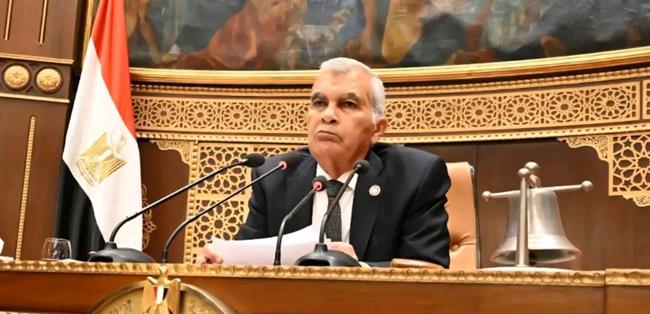 مجلس الشيوخ يتلقى المجلس خطة التنمية الاقتصادية والاجتماعية لعام 2026/2027