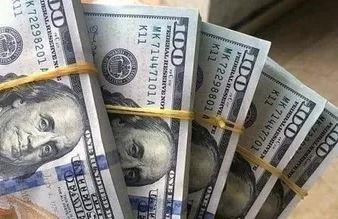سعر الدولار اليوم مقابل الجنيه المصري
