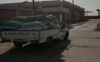   الدقهلية تواصل توريد القمح وتسجيل 22 ألف طن حتى الآن