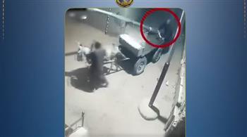   حقيقة فيديو نقل عمود إنارة بالدقهلية