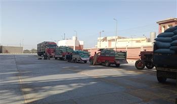   محافظ أسيوط: توريد 33 ألف طن قمح إلى الصوامع والشون منذ بدء الموسم 