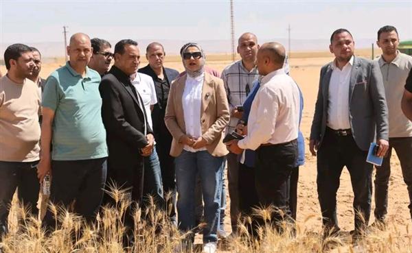 محافظ الوادي الجديد تشهد حصاد مشروعات الاستثمار الزارعي بمركز بلاط